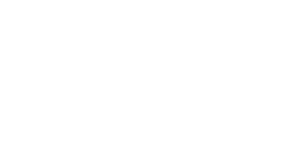 에이스 게이밍 logo